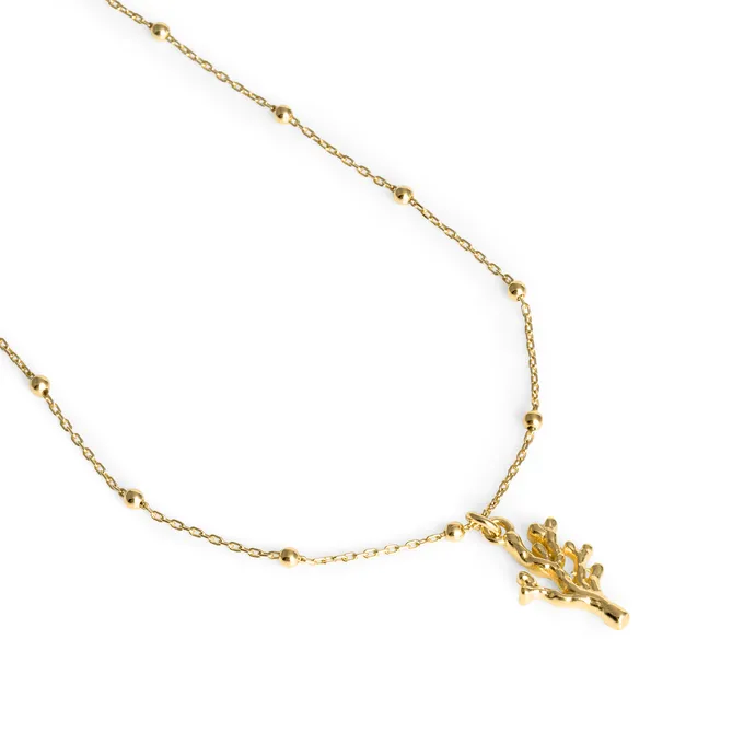 NASZYJNIK